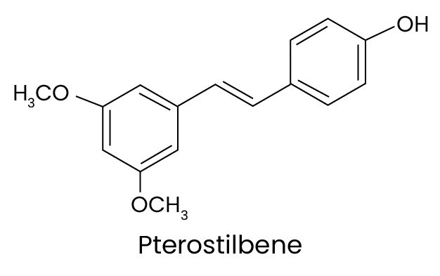 pterowhite-pterostilbene